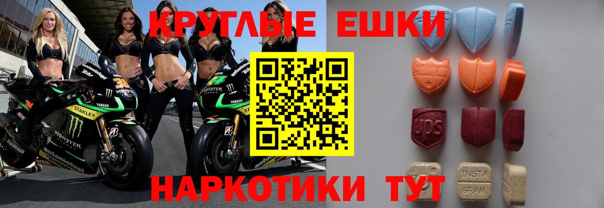 ЭКСТАЗИ Philipp Plein  Вход с VPN  Ecstasy  ЭКСТАЗИ круглые  Прохладный 
