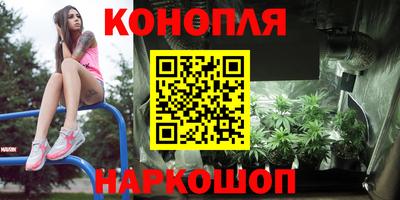 прущие крисы Будённовск