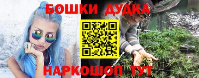 прущие крисы Будённовск