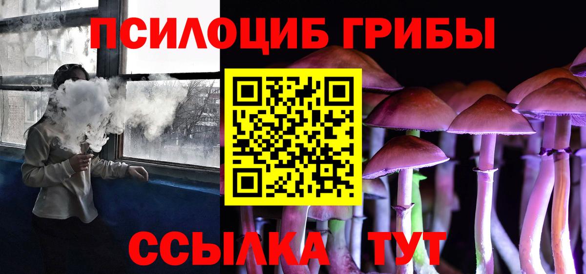 Прохладный  Галлюциногенные грибы Psilocybine cubensis  Вход с VPN 